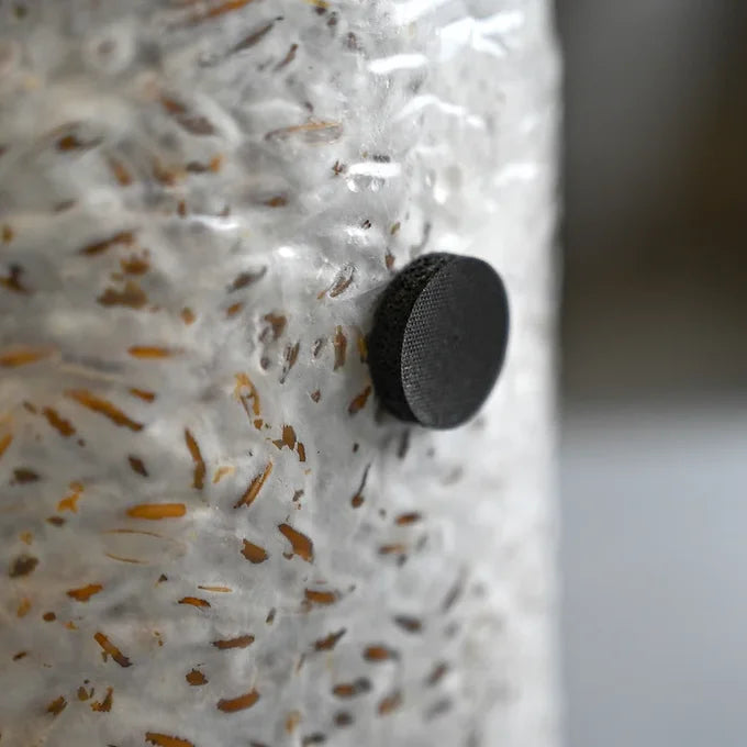 Microppose Adherable Injection Port